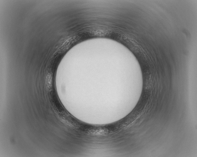 X0000115610646200912081003