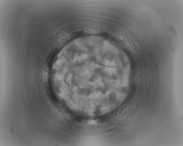 X0000115610647200912081003