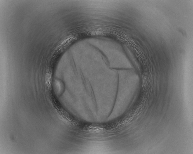 X0000115610648200912081003