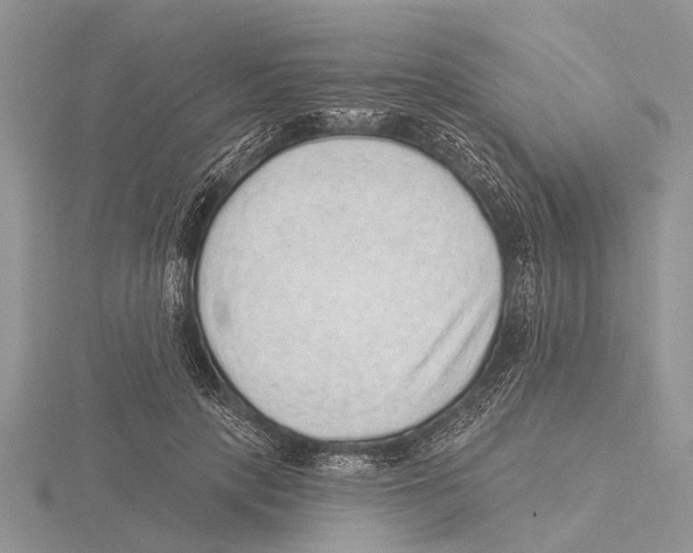 X0000115610649200912081003