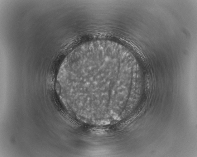 X0000115610661200912081003