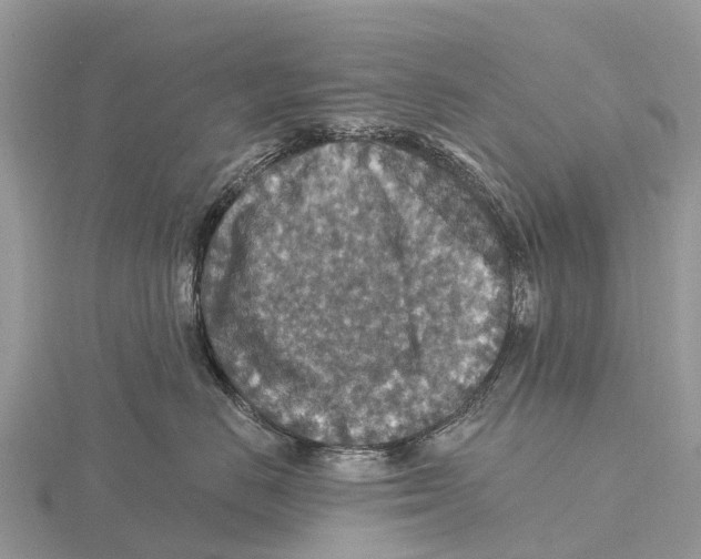 X0000115610670200912081003