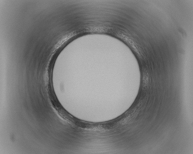 X0000115610674200912081003