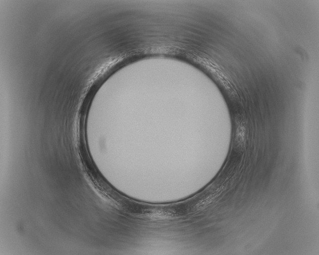 X0000115610678200912081003