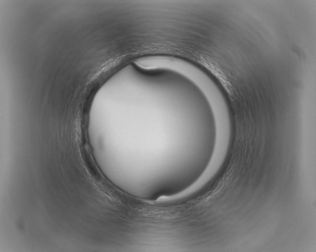 X0000115610681200912081003