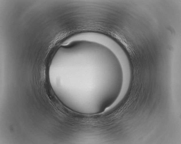 X0000115610685200912081003
