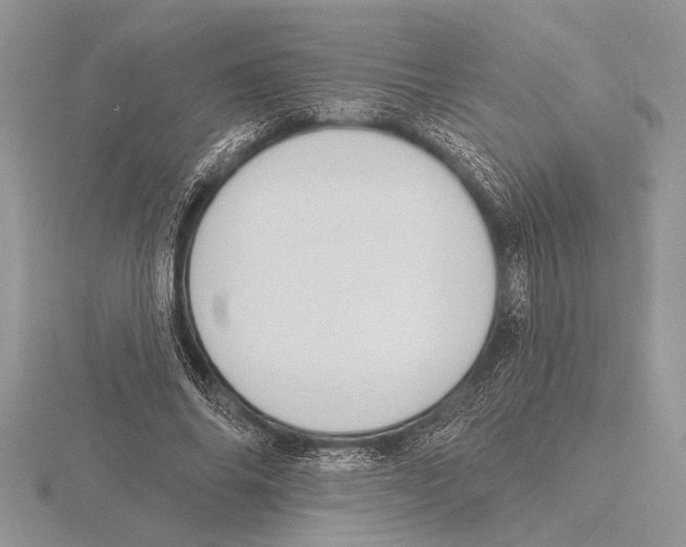 X0000115610686200912081003