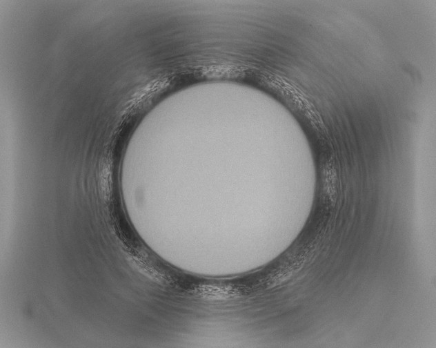 X0000115610690200912081002