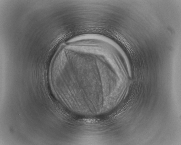 X0000115610693200912081002
