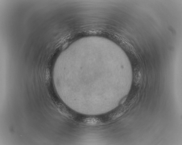 X0000115610704200912081002