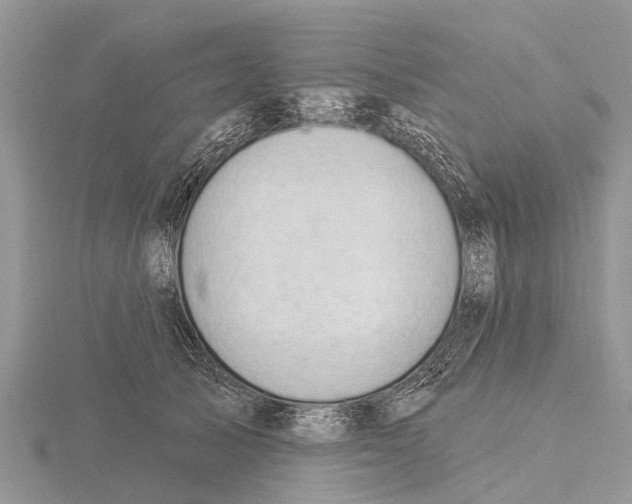 X0000115610705200912081002