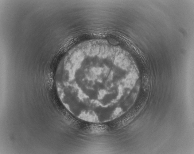 X0000115610707200912081002