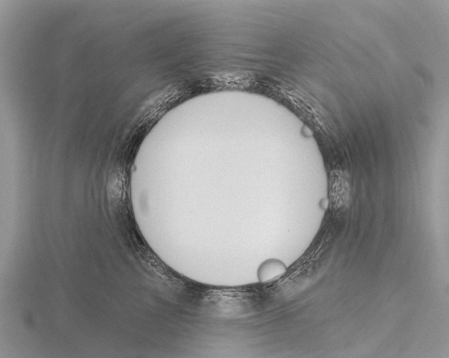 X0000115610713200912081002