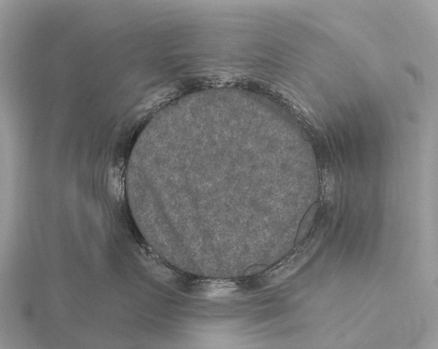 X0000115610719200912081002