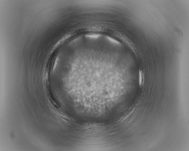 X0000115610723200912081002