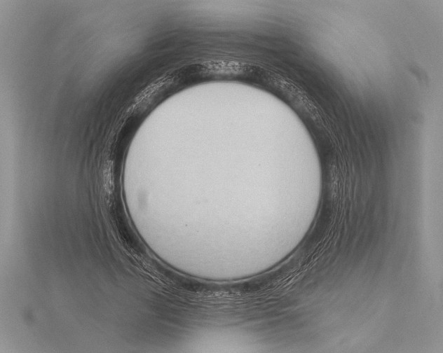 X0000115610731200912081002