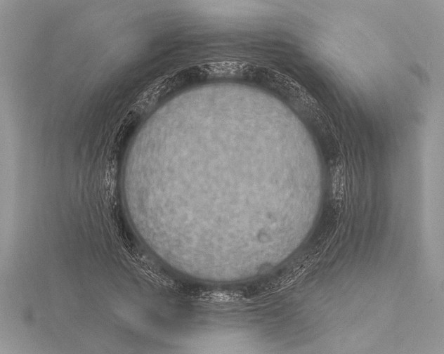 X0000115610737200912081002
