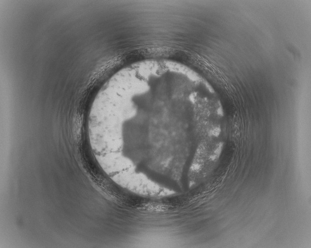 X0000115610742200912081002