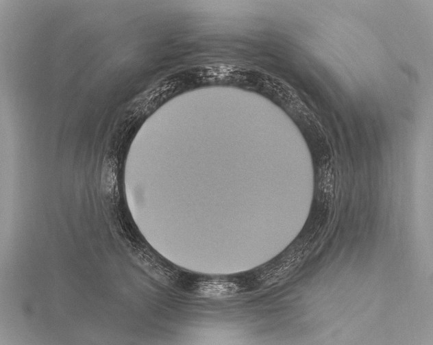 X0000115610754200912081002