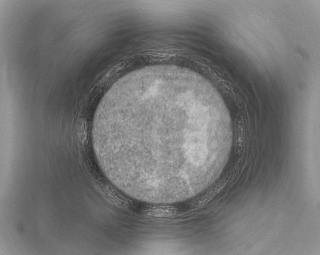 X0000115610758200912081002