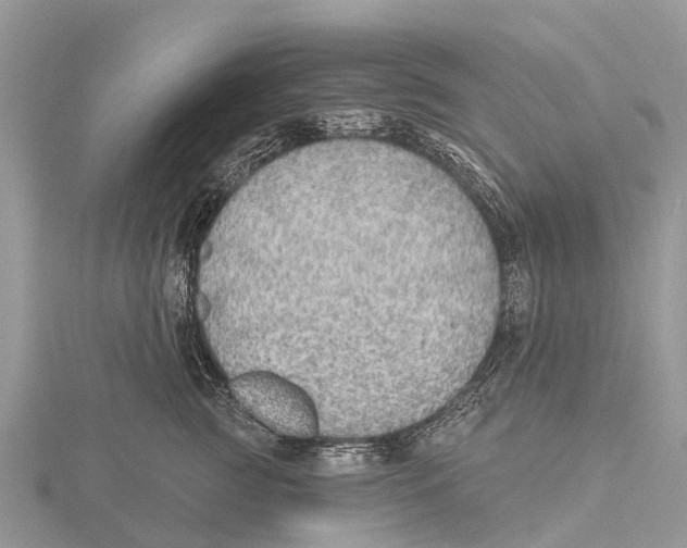 X0000115610761200912081002