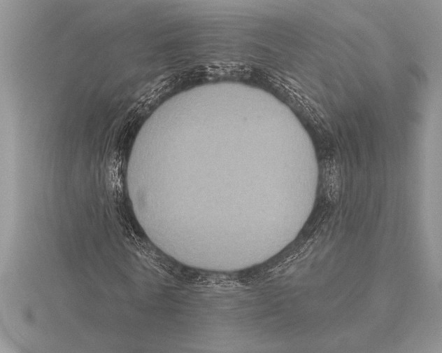 X0000115610770200912081001