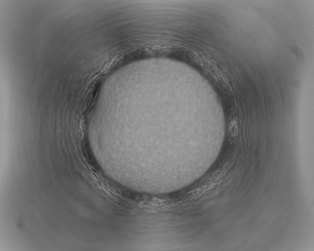 X0000115610772200912081001