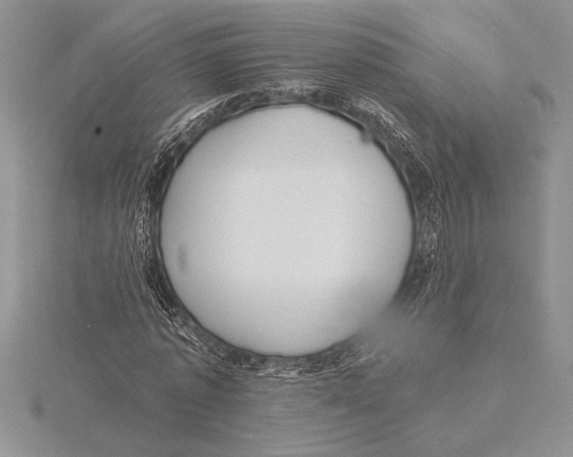 X0000115610773200912081001