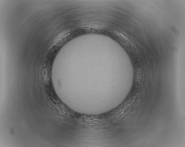 X0000115610774200912081001