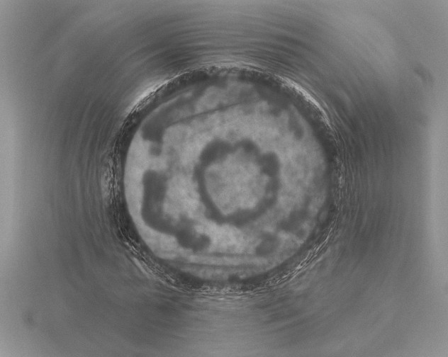 X0000115610775200912081001