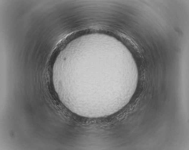 X0000115610776200912081001