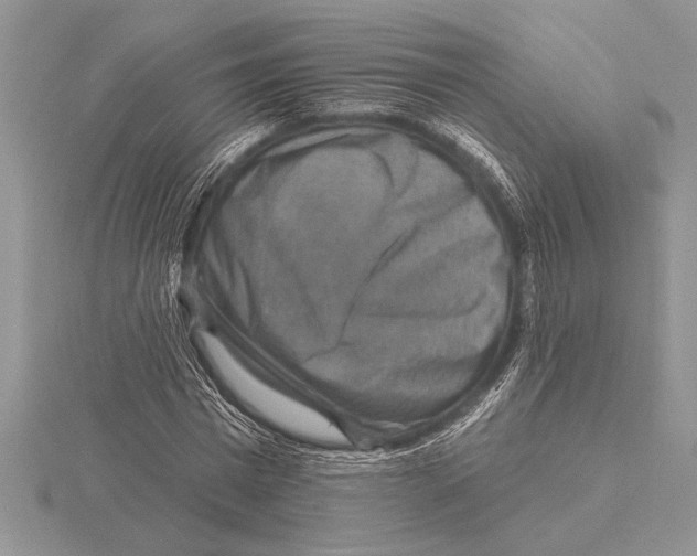 X0000115610777200912081001