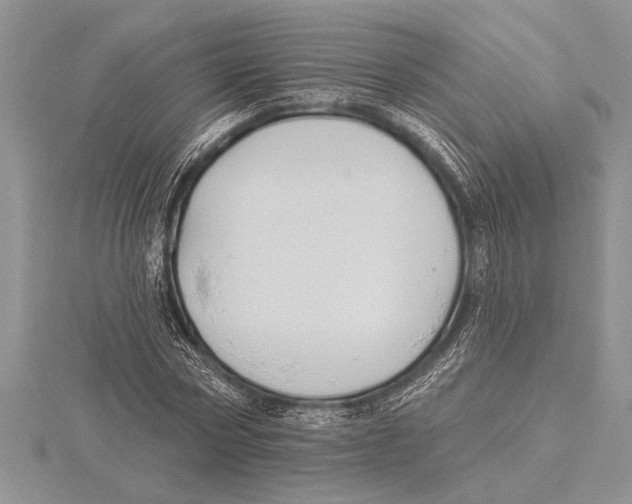 X0000115610778200912081001