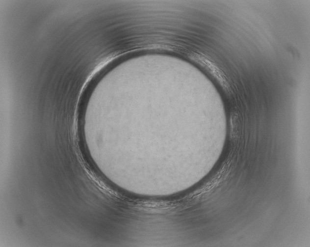 X0000115610780200912081001