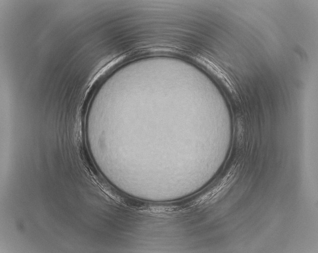 X0000115610782200912081001