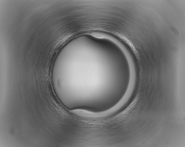 X0000115610785200912081001