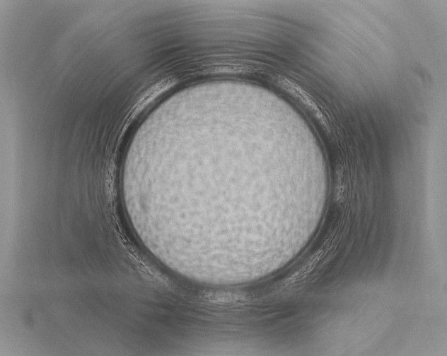 X0000115610786200912081001