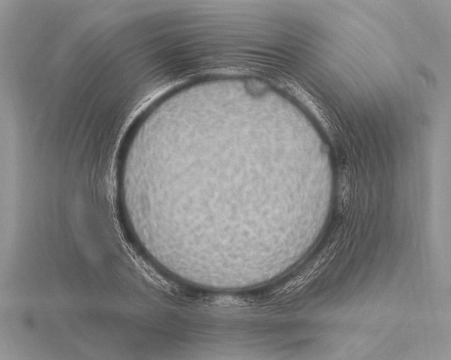 X0000115610787200912081001
