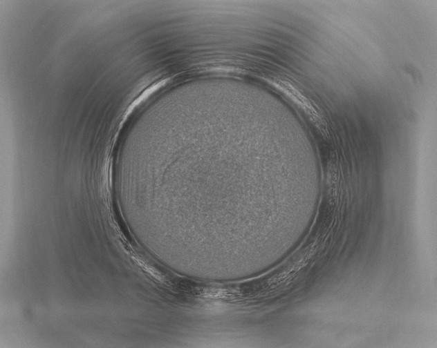 X0000115610790200912081001
