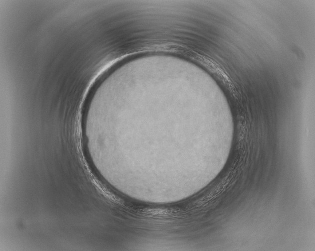 X0000115610792200912081001