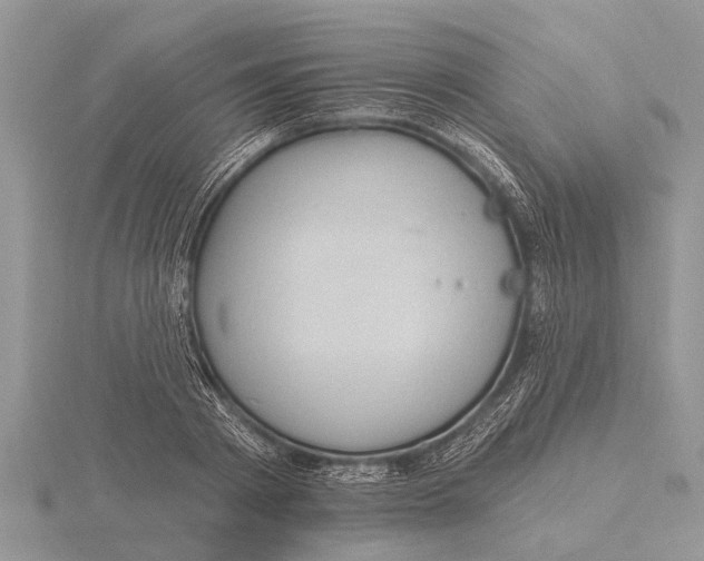 X0000115610793200912081001