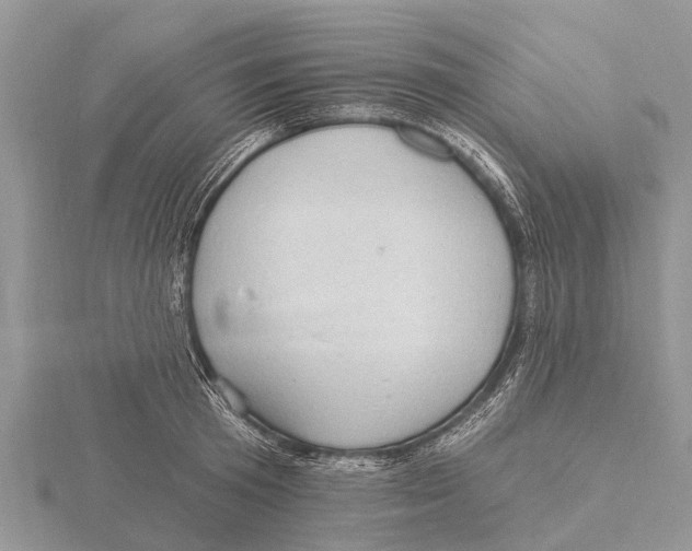 X0000115610801200912081001
