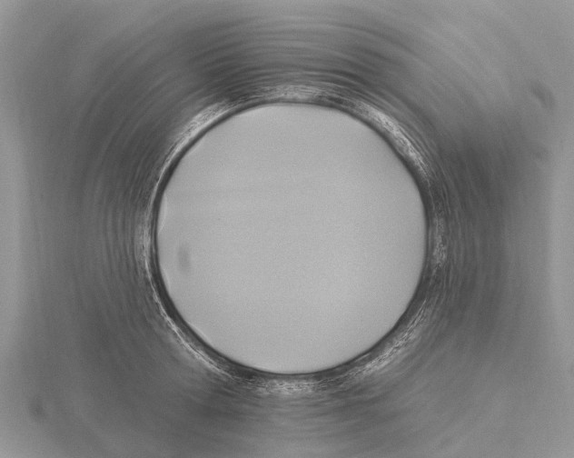 X0000115610802200912081001