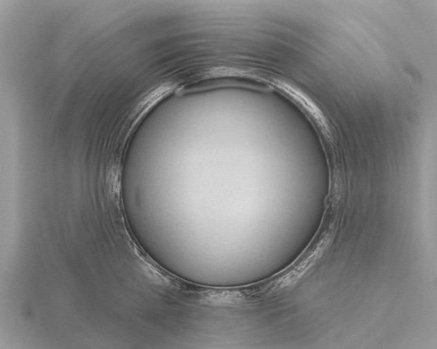 X0000115610809200912081001
