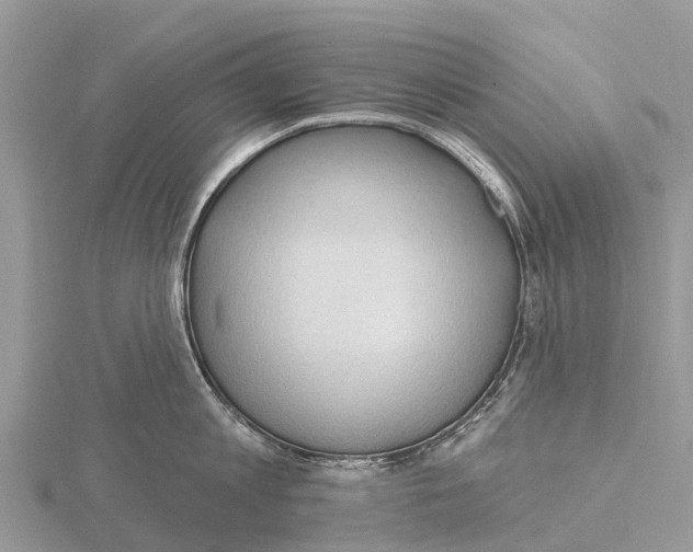 X0000115610813200912081001