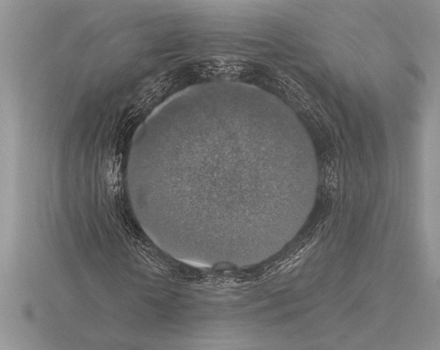 X0000115610818200912081000