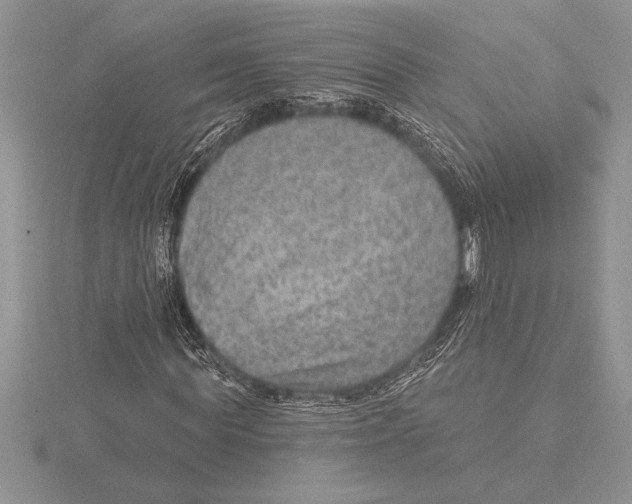 X0000115610819200912081000