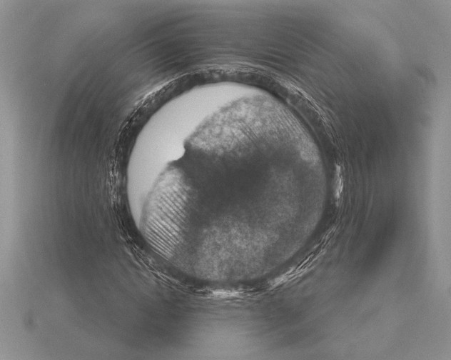 X0000115610822200912081000