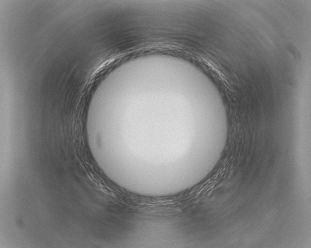 X0000115610824200912081000