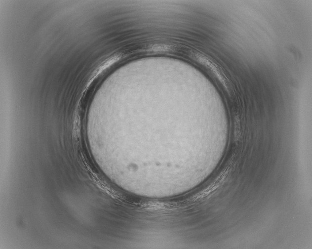 X0000115610827200912081000